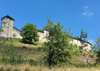 Repas solidaire au marché nocturne de Belvoir